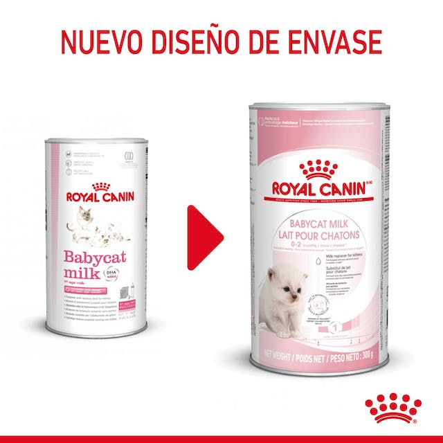Babycat Milk 300gr. / Royal Canin