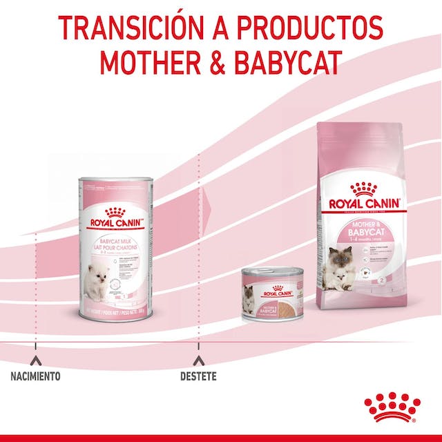 Babycat Milk 300gr. / Royal Canin