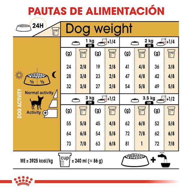 Chihuahua adulto / Royal Canin