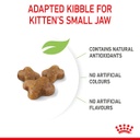 Kitten / Royal Canin Feline