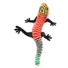 Lagarto Multicolor / Freedog