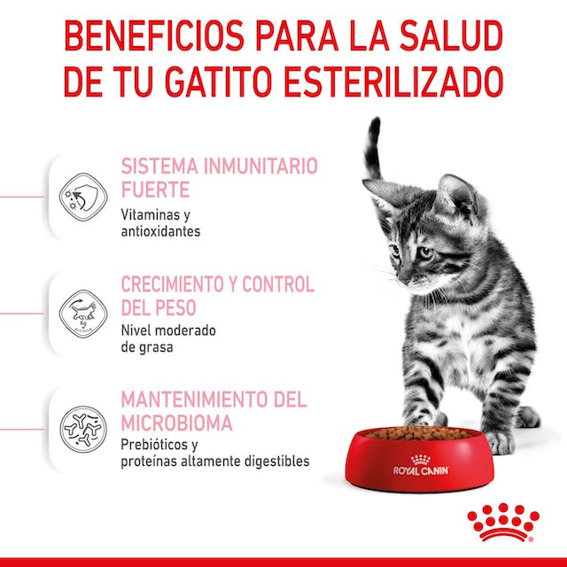 Kitten Sterilised / Royal Canin Feline