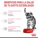 Kitten Sterilised / Royal Canin Feline