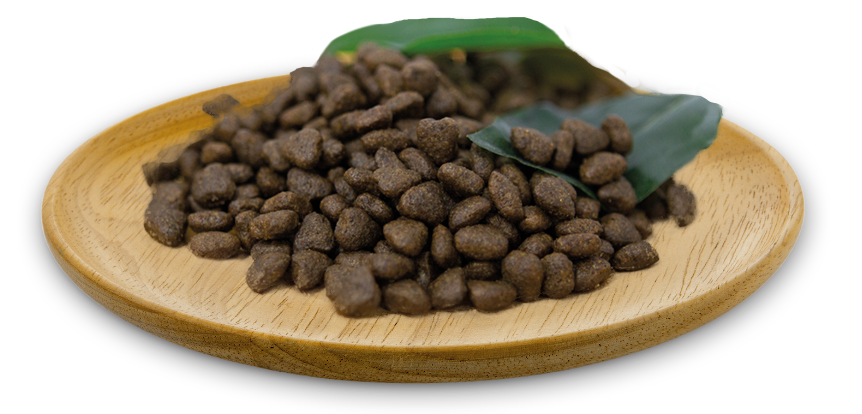 Natural Greatness Salmón Recipe Mini