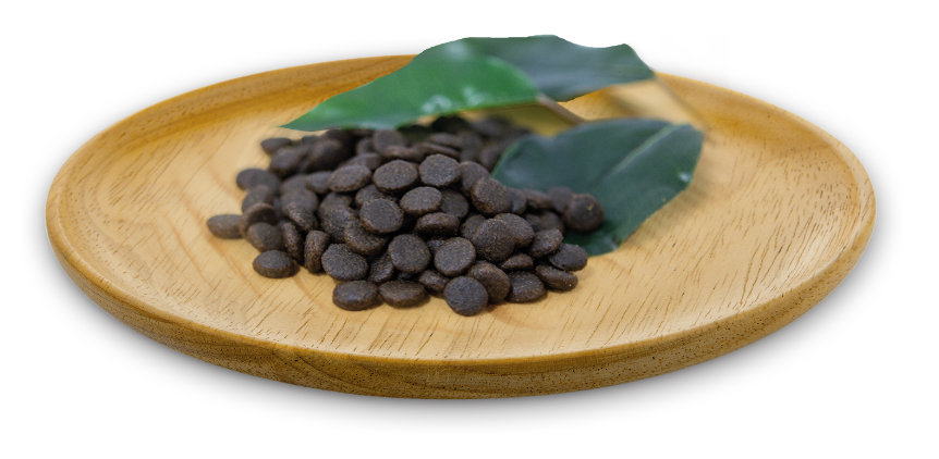 Natural Greatness Pienso Top Mountain para Gatos y Gatitos