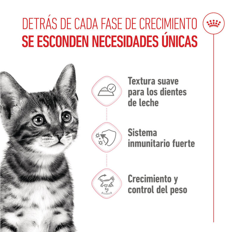 Royal Canin Kitten Sterilised Sobres en Salsa para Gatitos 6-12 meses 85 gr.