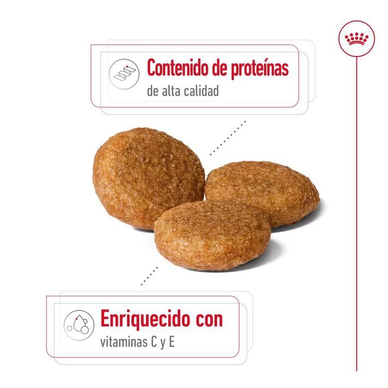 Royal Canin Medium Adulto para Perros