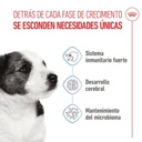 Royal Canin Mini Puppy para Perros
