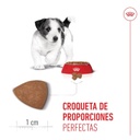 Royal Canin Mini Puppy para Perros