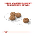 Royal Canin Mini Sterilised Adulto para Perros