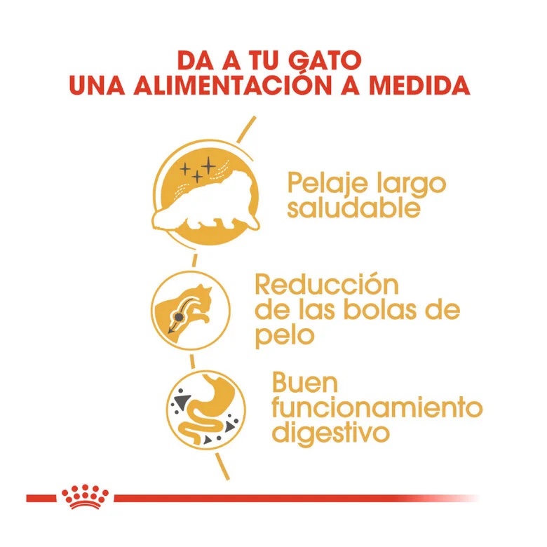 Royal Canin Gatos Persas