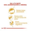 Royal Canin Gatos Persas