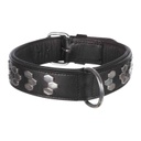 Active Stud Leather Dog Collar) (M)