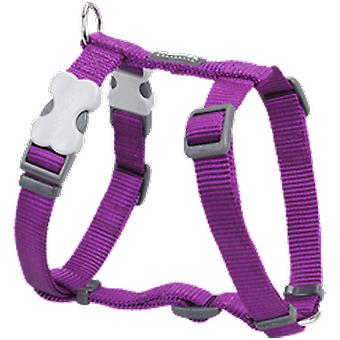 Petral liso Morado / Red Dingo