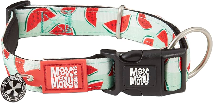 Collar Watermelon / Max&Molly