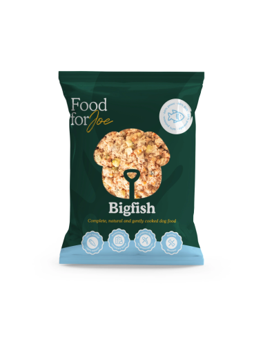 Food for Joe Bigfish Menú Pescado