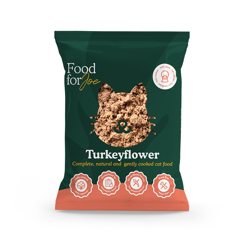 Food for Joe Turkeyflower cat pavo