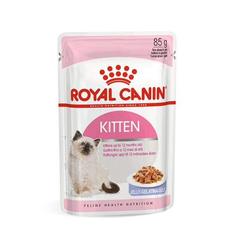 Royal Canin sobre kitten (gelatina)