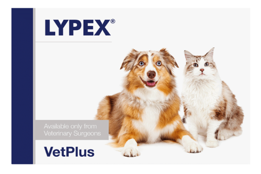 Vetplus Lypex Blister 60 cápsulas