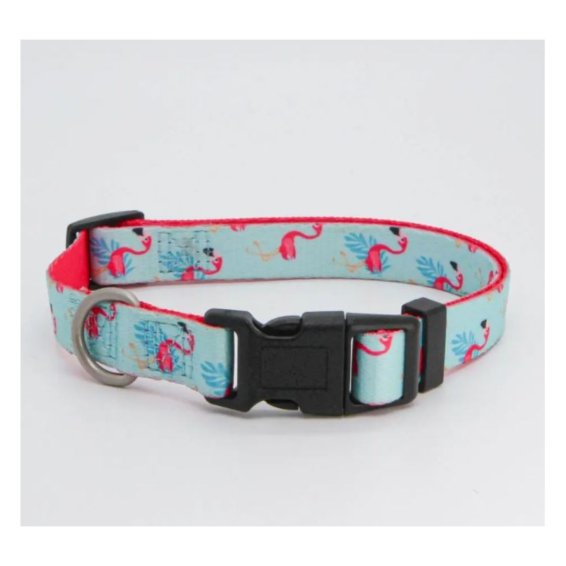 Collar Summer / Freedog