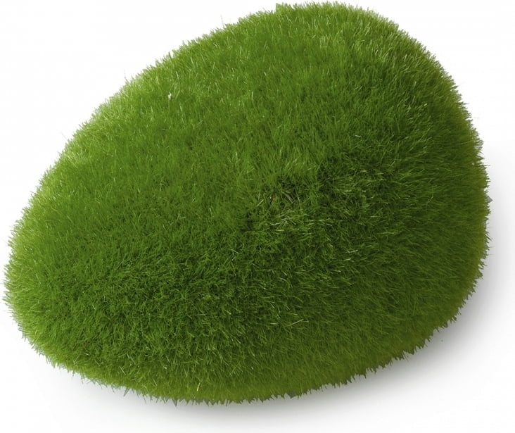 Piedra moss ball / Aqua Della