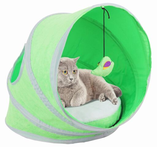 Carpa pop-up gato / Pawise