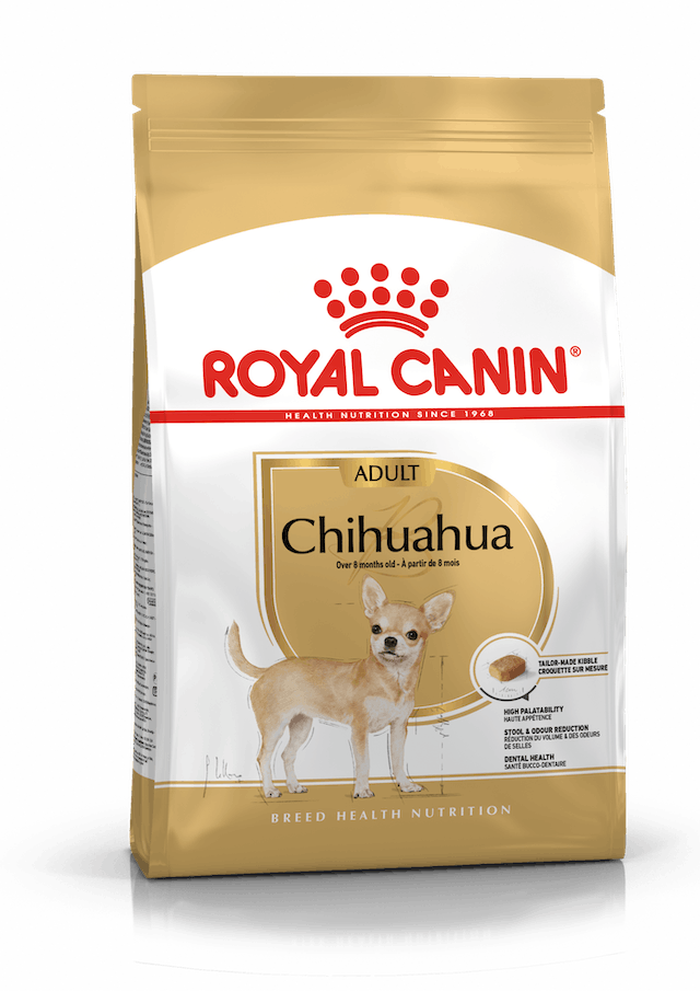 Chihuahua adulto / Royal Canin