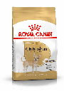 Chihuahua adulto / Royal Canin