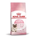 Royal Canin Mother & Babycat para Gatos (2kg)