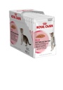 Kitten sobres 85 gr. / Royal Canin Feline (Gelatina)