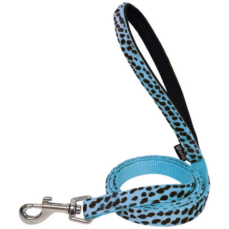 Correa leopardo azul / C.Gloria