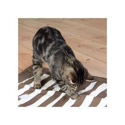 [46005] Manta juego cat activity/ Trixie