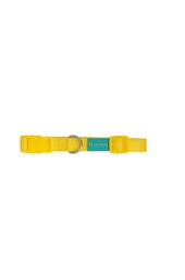 Collar basic Nylon amarillo / Freedog