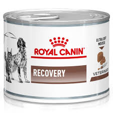 VD Paté Recovery dog/cat 195gr. / Royal Canin canine